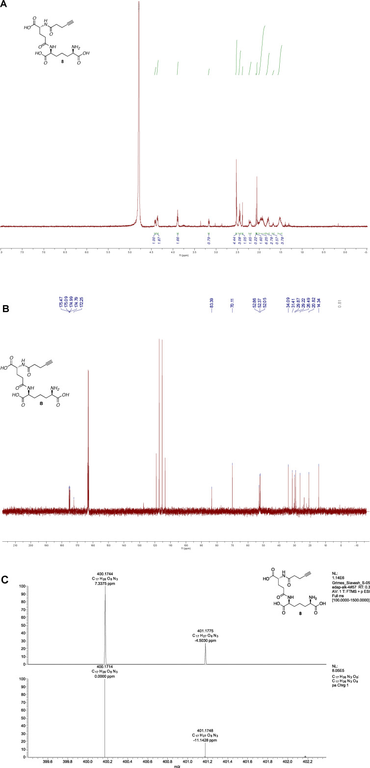 Synthesis and validation of click-modified NOD1/2 agonists.