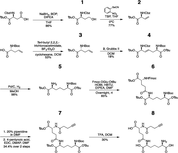 Synthesis and validation of click-modified NOD1/2 agonists.