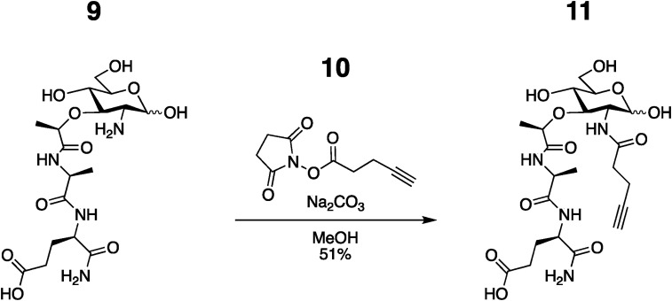 Synthesis and validation of click-modified NOD1/2 agonists.