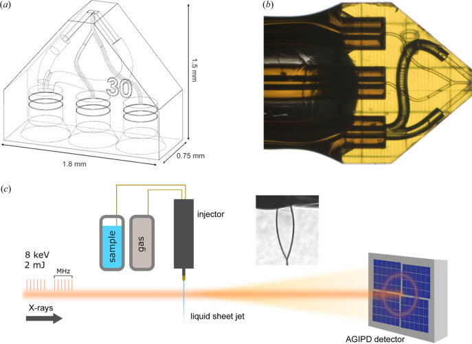 3D-printed sheet jet for stable megahertz liquid sample delivery at X-ray free-electron lasers