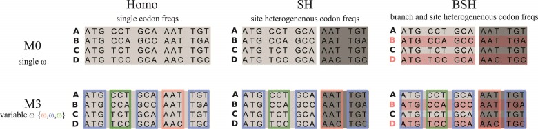 DNA Sequences Are as Useful as Protein Sequences for Inferring Deep Phylogenies.