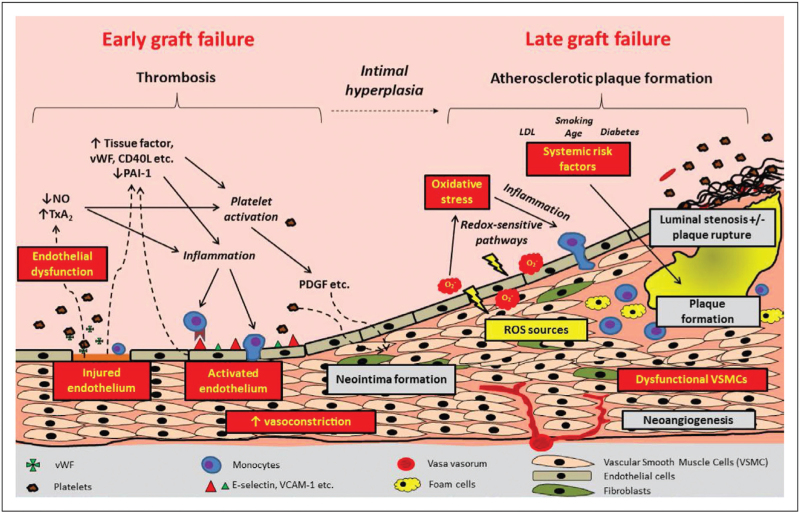 Antiplatelet therapy around CABG: the latest evidence.