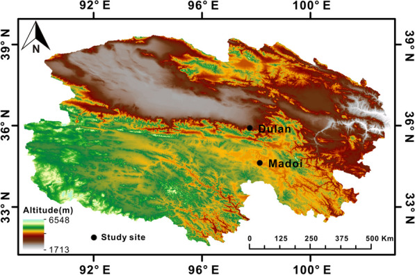 Comparative metabolomics analysis reveals high-altitude adaptations in a toad-headed viviparous lizard, Phrynocephalus vlangalii.