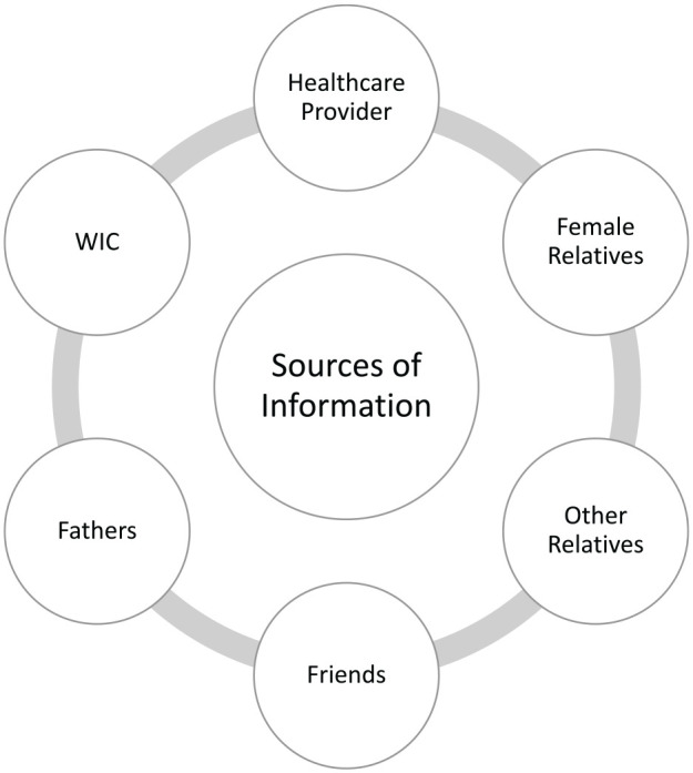 Parental Decision-Making Around Introducing Complementary Foods: An Integrative Review.