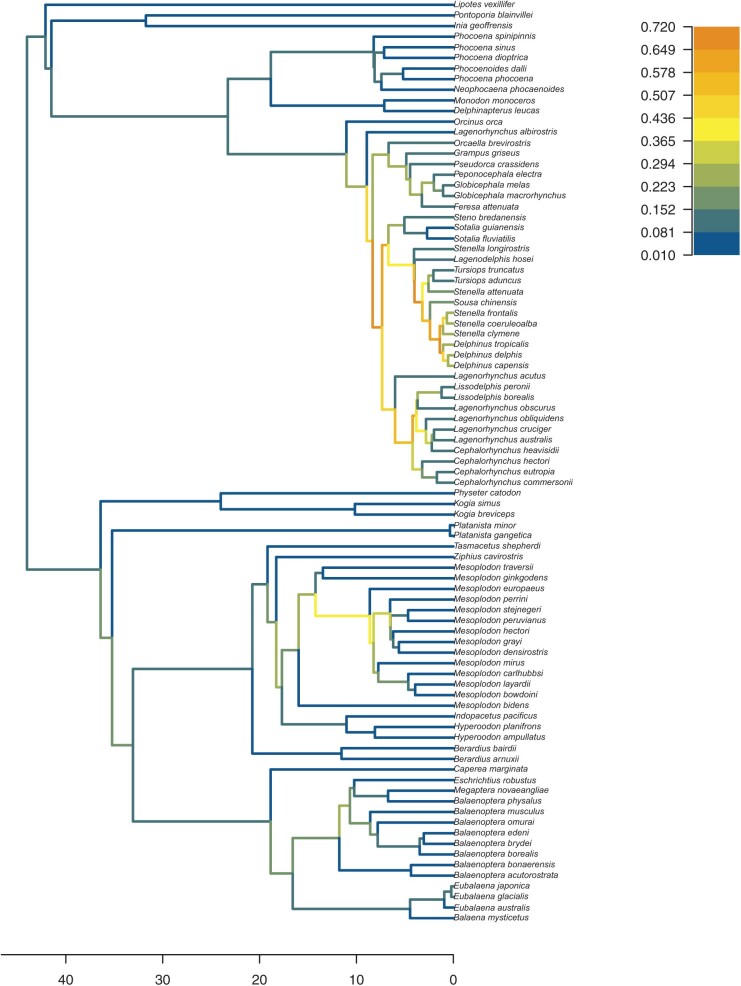 The ClaDS rate-heterogeneous birth-death prior for full phylogenetic inference in BEAST2.