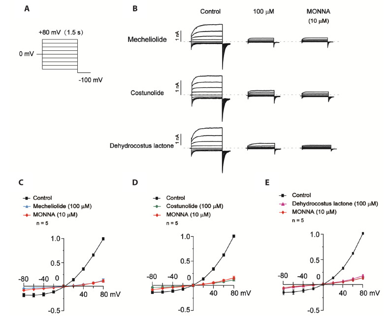 Three sesquiterpene lactones suppress lung adenocarcinoma by blocking TMEM16A-mediated Ca<sup>2+</sup>-activated Cl<sup>-</sup> channels.