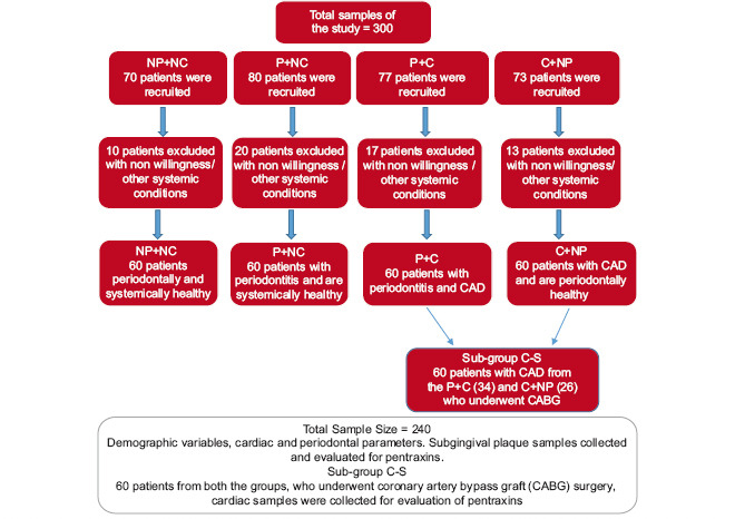 Association of pentraxin in periodontitis patients with coronary artery disease.