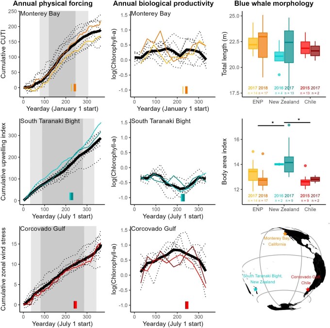 Shaped by Their Environment: Variation in Blue Whale Morphology across Three Productive Coastal Ecosystems.