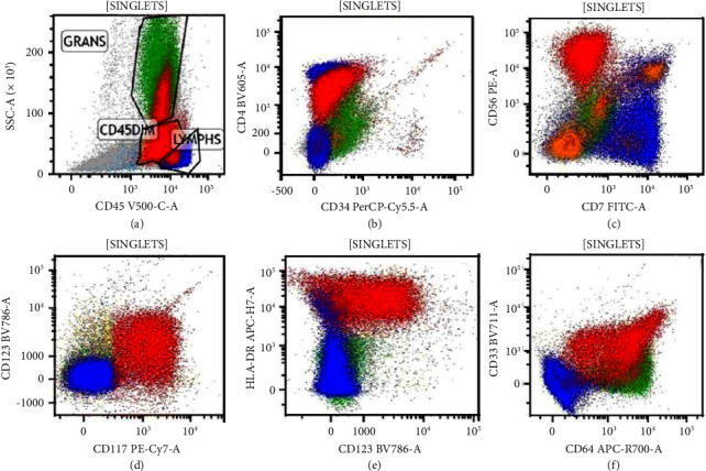 A Case of Acute Myeloid Leukemia Mimicking Blastic Plasmacytoid Dendritic Cell Neoplasm: Utility of the Proposed Upcoming WHO-5 Diagnostic Criteria.