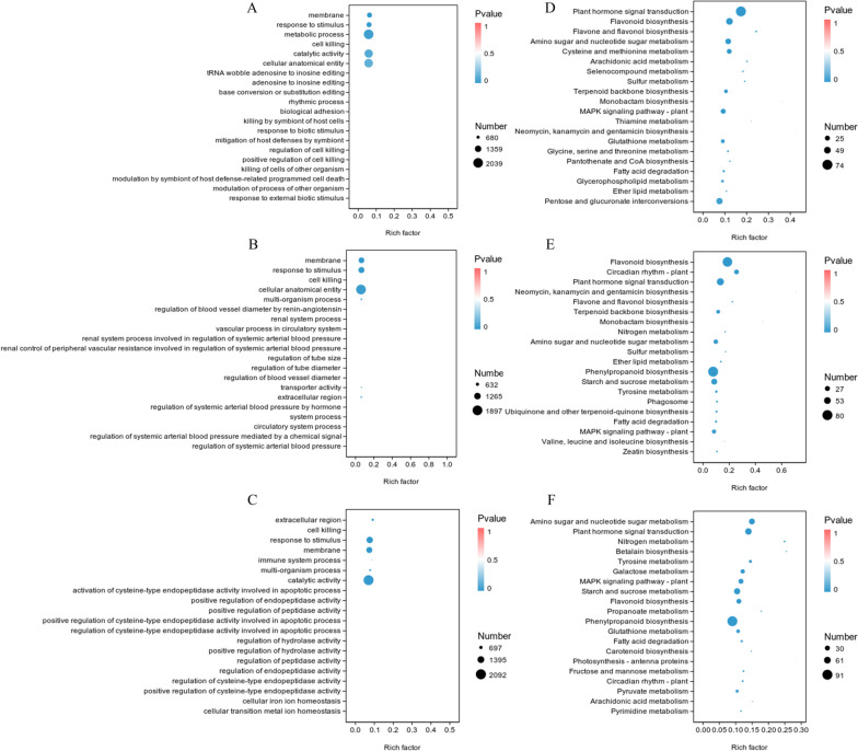 Transcriptomic response of Pinus massoniana to infection stress from the pine wood nematode Bursaphelenchus xylophilus.