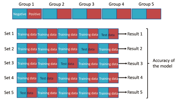 Development of a novel artificial intelligence algorithm to detect pulmonary nodules on chest radiography.
