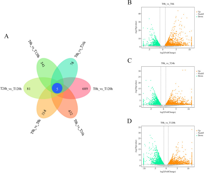 Transcriptomic response of Pinus massoniana to infection stress from the pine wood nematode Bursaphelenchus xylophilus.