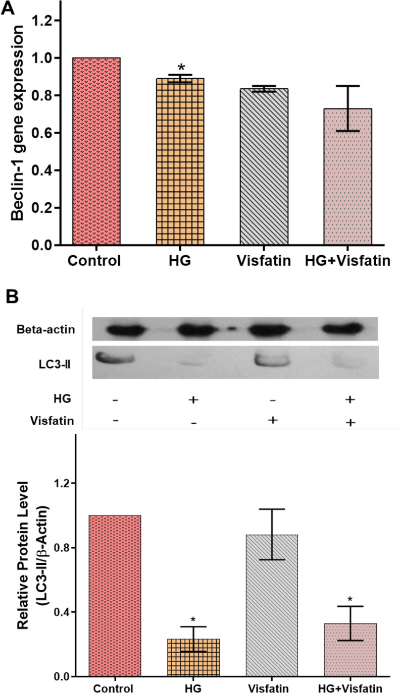 Effectiveness of Nicotinamide Phosphoribosyltransferase/Pre-B Cell Colony-enhancing Factor/Visfatin in preventing High Glucose-induced Neurotoxicity in an In-vitro Model of Diabetic Neuropathy.