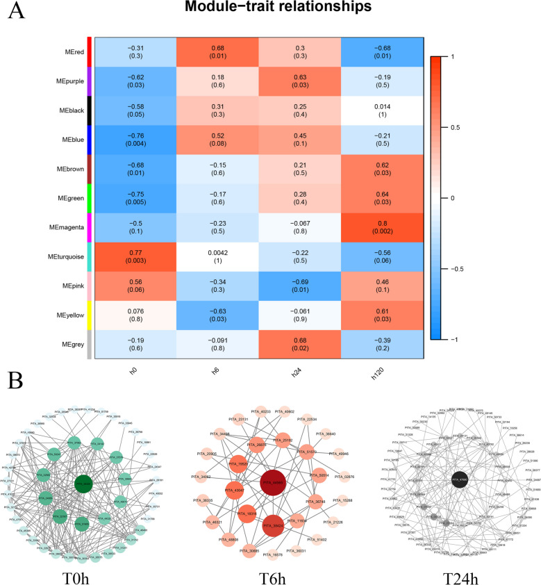 Transcriptomic response of Pinus massoniana to infection stress from the pine wood nematode Bursaphelenchus xylophilus.