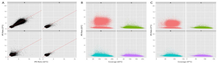 Comparison of <i>Yersinia enterocolitica</i> DNA Methylation at Ambient and Host Temperatures.