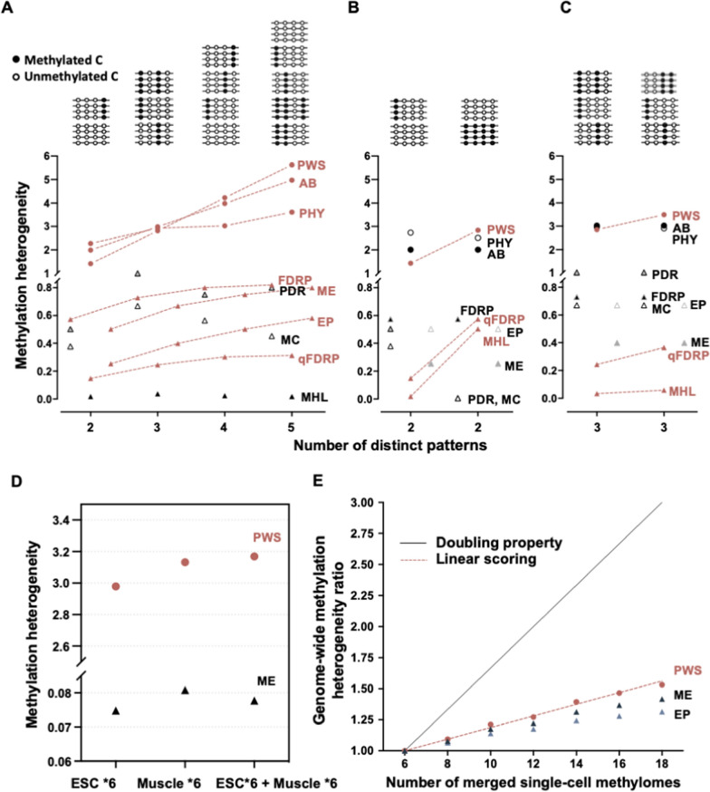 Estimating genome-wide DNA methylation heterogeneity with methylation patterns.