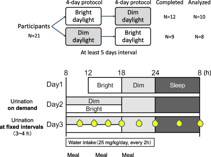 Diurnal differences in urine flow in healthy young men in a light-controlled environment: a randomized crossover design.