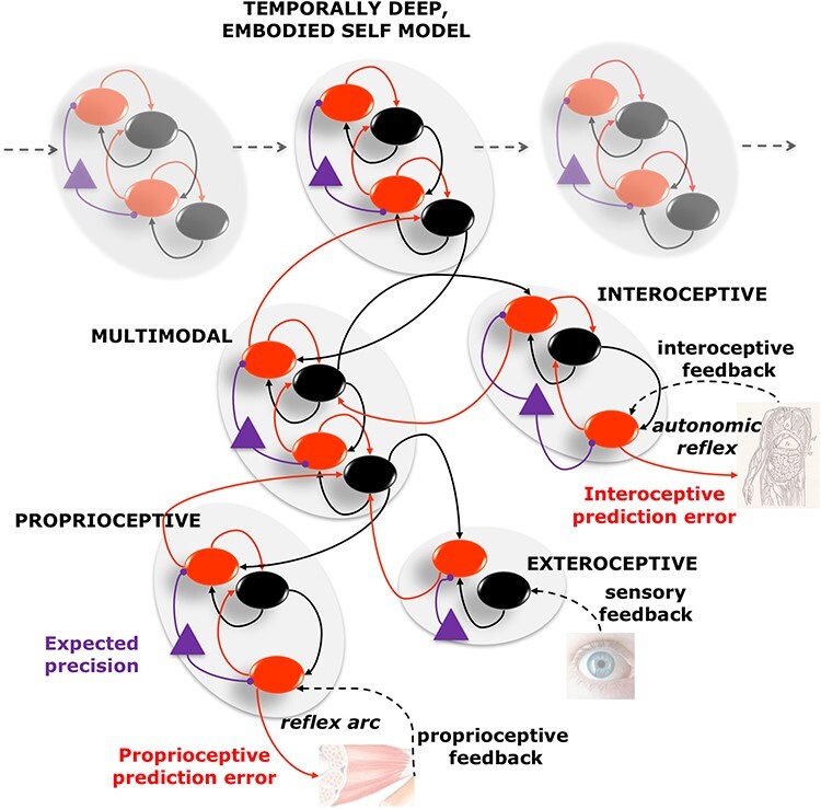 Modeling and controlling the body in maladaptive ways: an active inference perspective on non-suicidal self-injury behaviors.