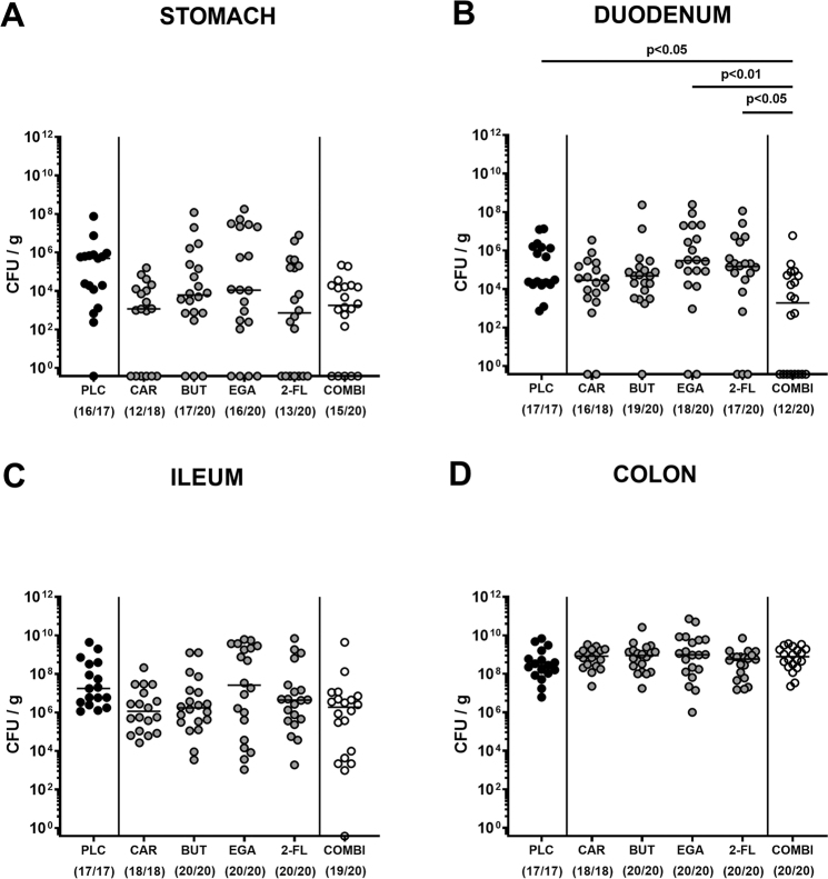 Oral application of carvacrol, butyrate, ellagic acid, and 2'-fucosyl-lactose to mice suffering from acute campylobacteriosis - Results from a preclinical placebo-controlled intervention study.