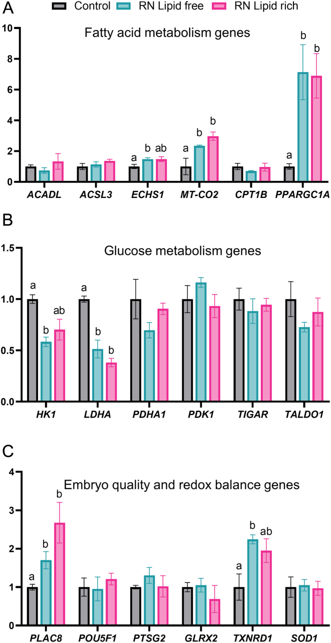 Lipid Enriched Reduced Nutrient Culture Medium Improves Bovine Blastocyst Formation.