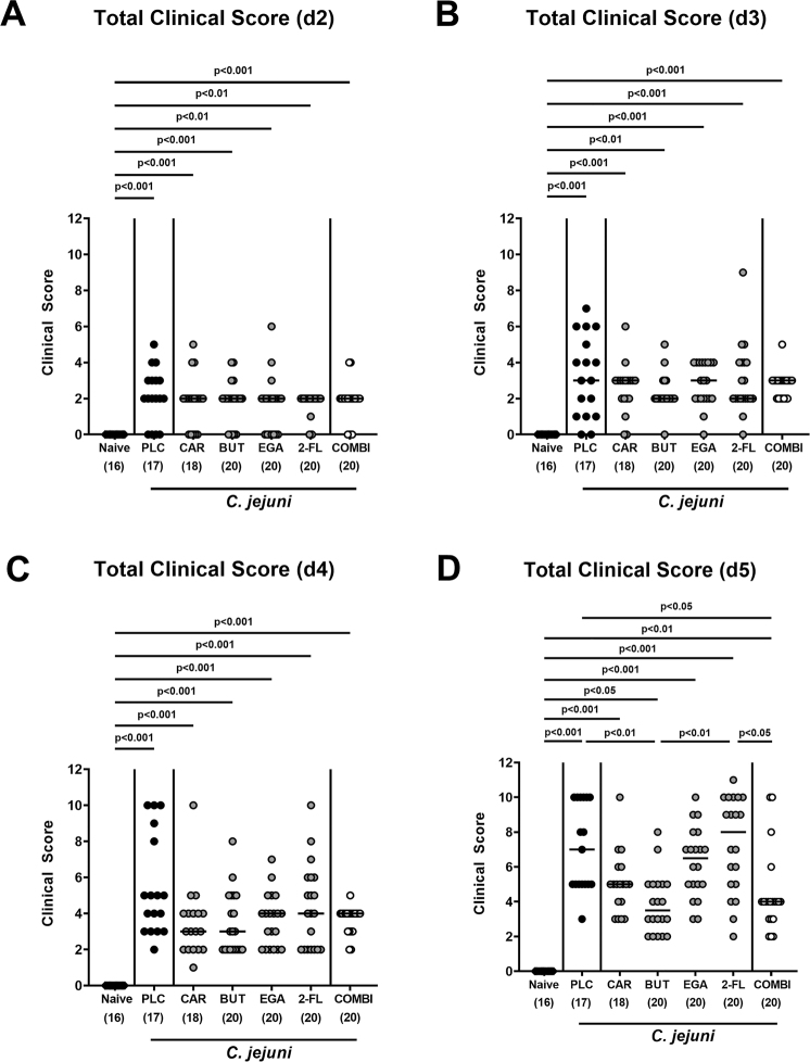 Oral application of carvacrol, butyrate, ellagic acid, and 2'-fucosyl-lactose to mice suffering from acute campylobacteriosis - Results from a preclinical placebo-controlled intervention study.