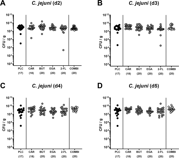 Oral application of carvacrol, butyrate, ellagic acid, and 2'-fucosyl-lactose to mice suffering from acute campylobacteriosis - Results from a preclinical placebo-controlled intervention study.