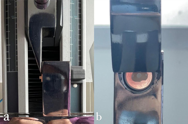 The Role of Duration of Chlorhexidine Gluconate 2% Application on the Shear Bond Strength of a Total Etch Bonding Agent: A Comparative Study.