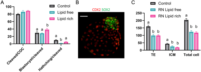 Lipid Enriched Reduced Nutrient Culture Medium Improves Bovine Blastocyst Formation.
