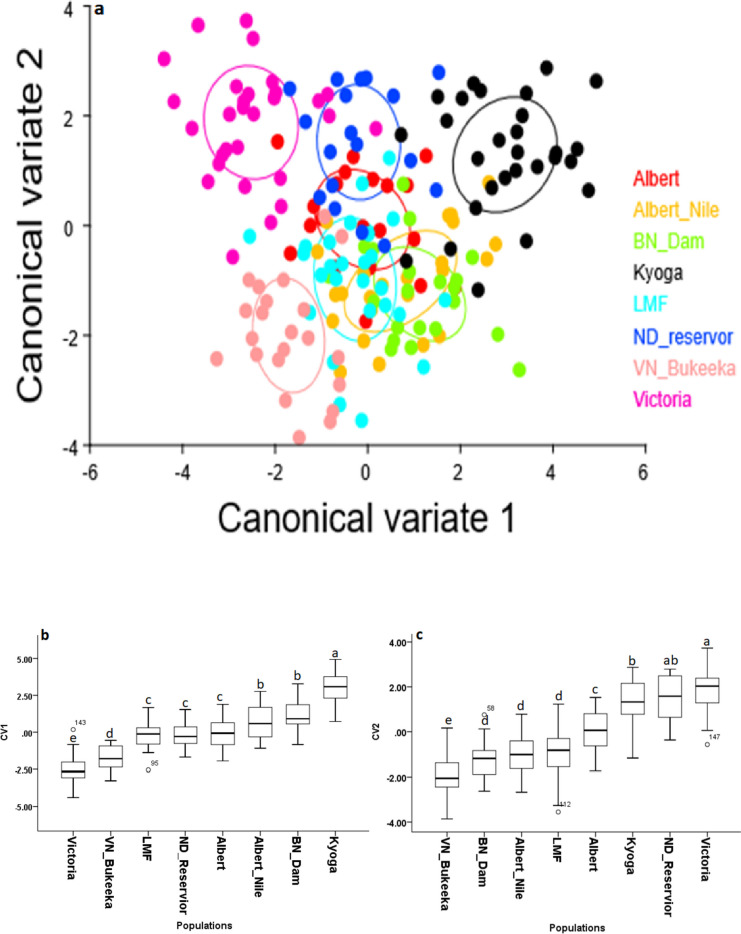 Exploring the morphological dynamics of Nile tilapia (Oreochromis niloticus Linn. 1758) in Victoria Nile as depicted from geometric morphometrics.