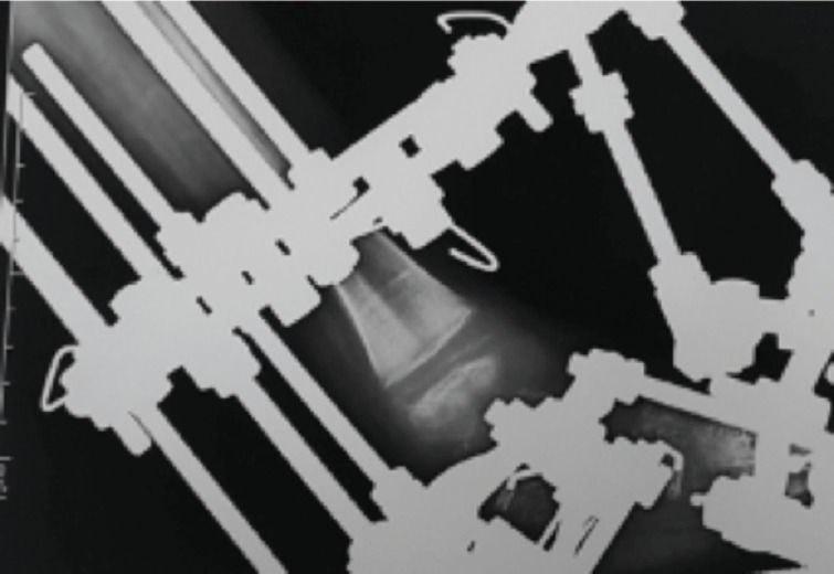 Abstract Image