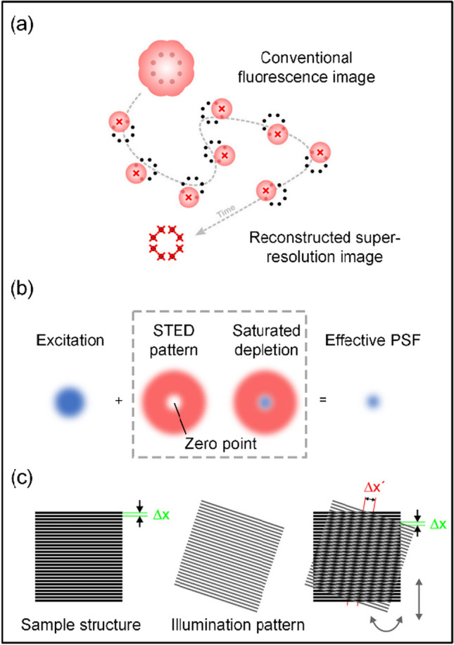 Organic fluorescent probes for live-cell super-resolution imaging.