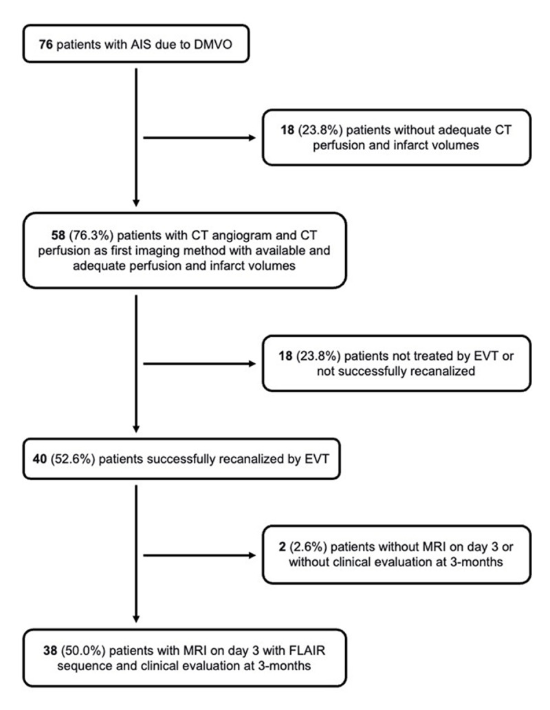 Severely Hypoperfused Brain Tissue Correlates with Final Infarct Volume Despite Recanalization in DMVO Stroke.
