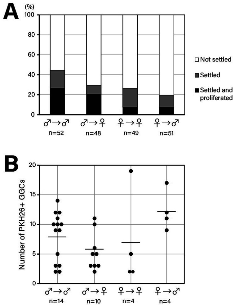 Gonadal Germ Cell Migration and Proliferation after Transfer in Developing Chicken Embryos.