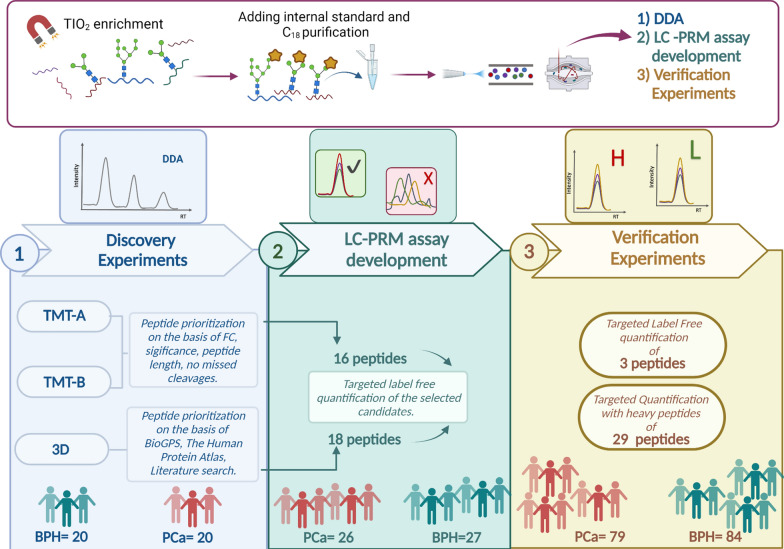 Development of a predictive model to distinguish prostate cancer from benign prostatic hyperplasia by integrating serum glycoproteomics and clinical variables.