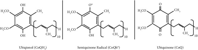 Involvement of Coenzyme Q10 in Various Neurodegenerative and Psychiatric Diseases.