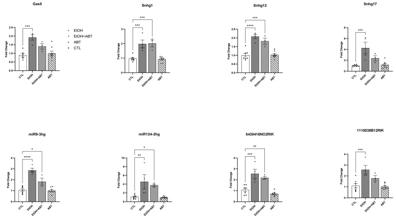 Ethanol- and PARP-Mediated Regulation of Ribosome-Associated Long Non-Coding RNA (lncRNA) in Pyramidal Neurons.