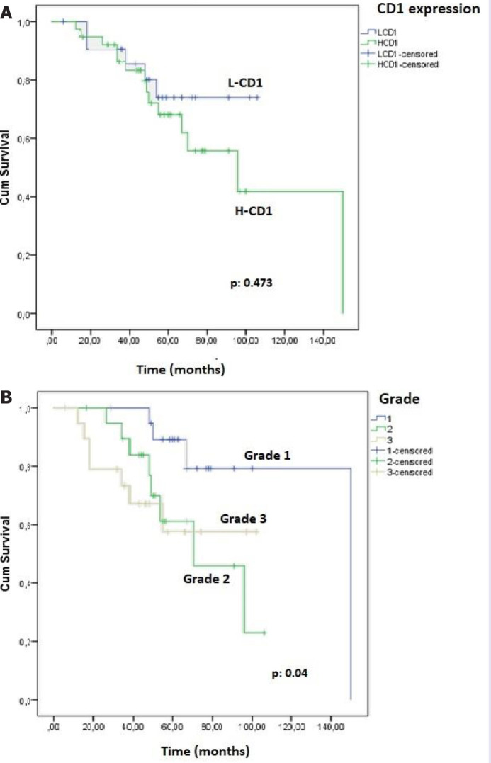 The overexpression of cyclin D1 is a positive prognostic factor in advanced-stage breast carcinoma cases.