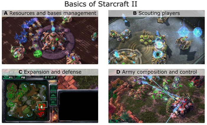Gaming expertise induces meso-scale brain plasticity and efficiency mechanisms as revealed by whole-brain modeling Gaming expertise, neuroplasticity and functional dynamics.
