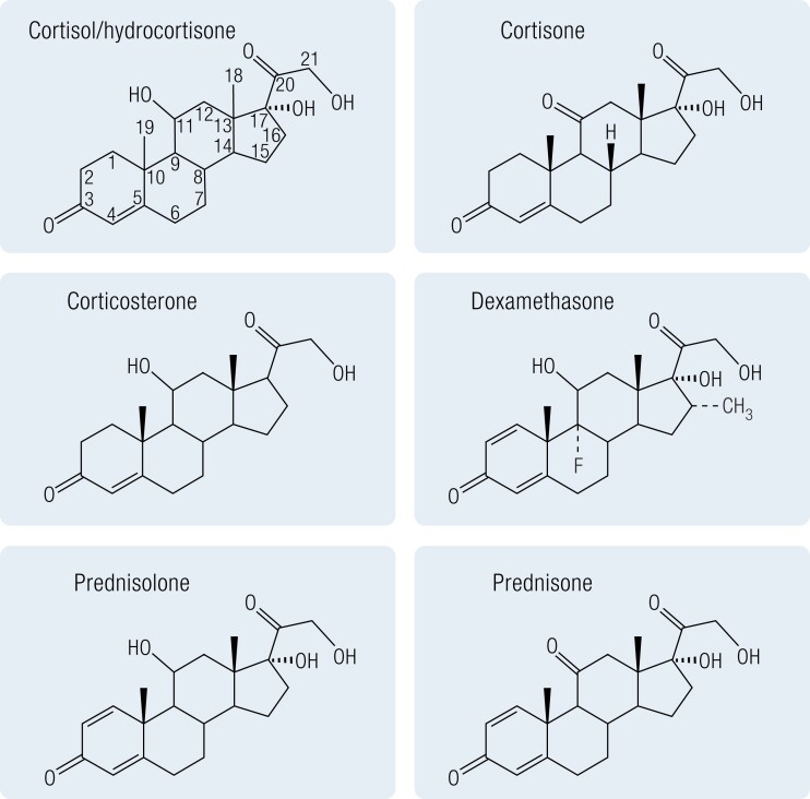 Treating the Side Effects of Exogenous Glucocorticoids; Can We Separate the Good From the Bad?