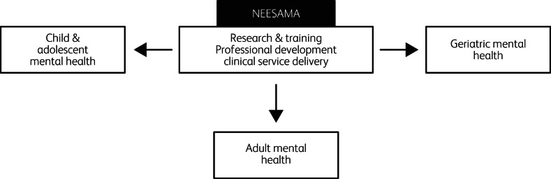 North East England South Asia Mental health Alliance (NEESAMA): an exemplar of global north and global south collaboration to improve research, training and service delivery in mental healthcare.
