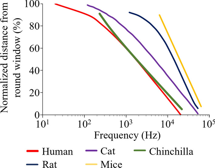 Sheep as a large animal model for hearing research: comparison to common laboratory animals and humans.