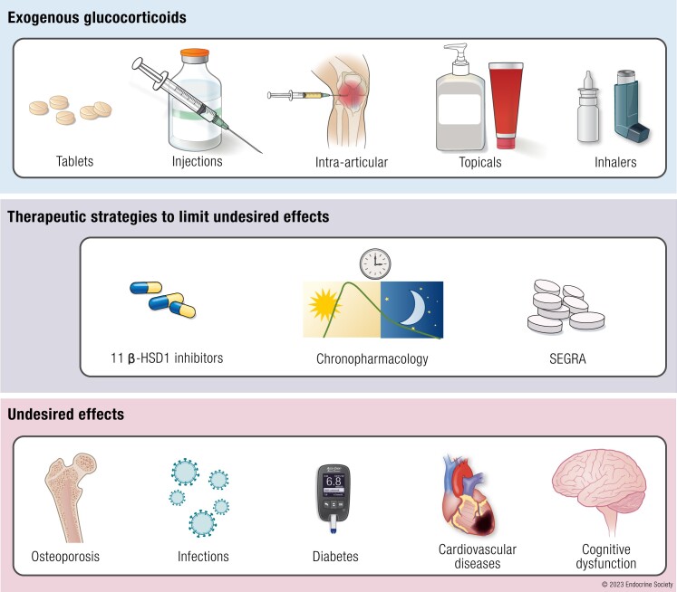 Treating the Side Effects of Exogenous Glucocorticoids; Can We Separate the Good From the Bad?