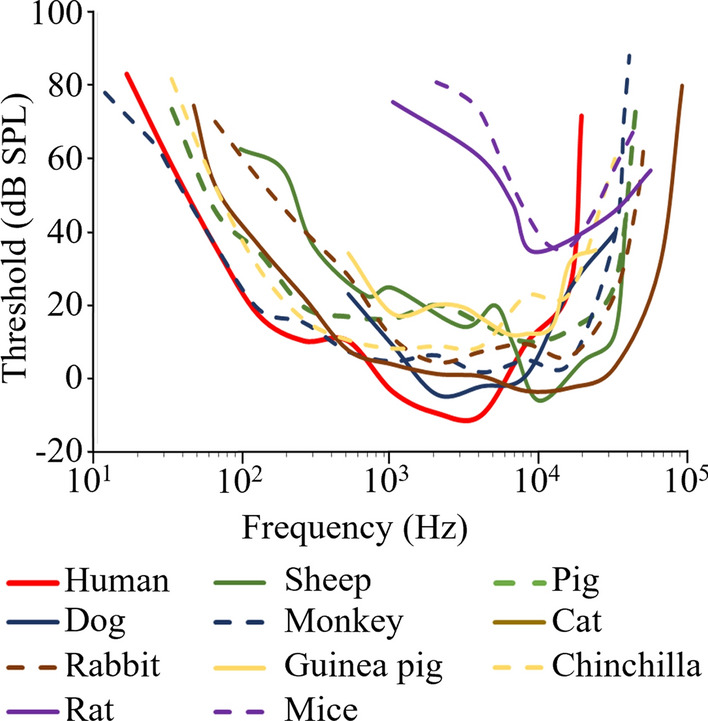 Sheep as a large animal model for hearing research: comparison to common laboratory animals and humans.