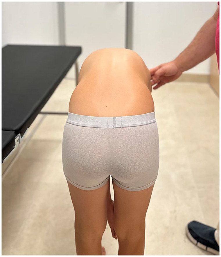 Clinical examination and imaging resources in children and adolescent back pain.