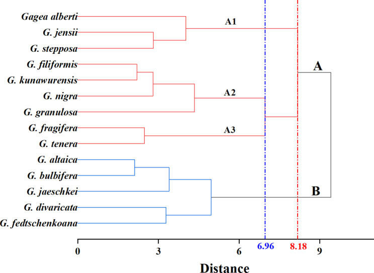 Taxonomic implications of leaf morphology and epidermal anatomy for 14 species of Gagea (Liliaceae) from Xinjiang, China.