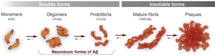 A light at the end of the tunnel - from mutation identification to a potential treatment for Alzheimer's disease.