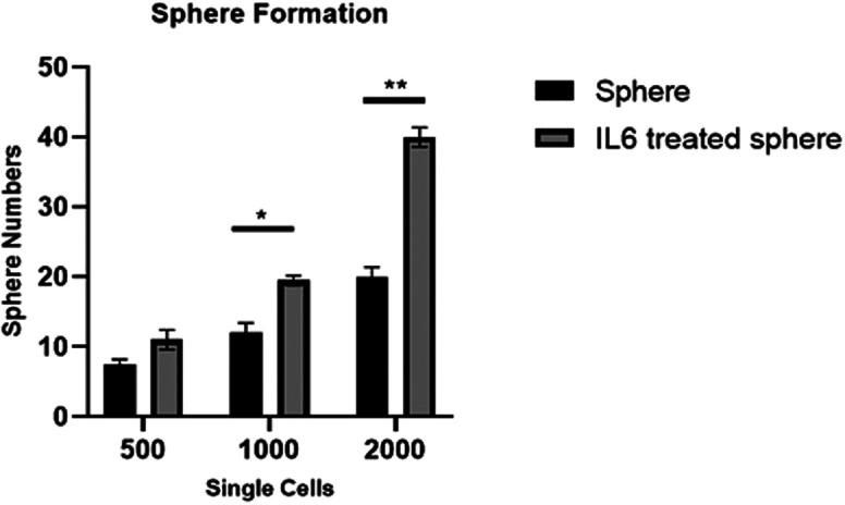 NANOG Dominates Interleukin-6-Induced Sphere Formation in Prostate Cancer.