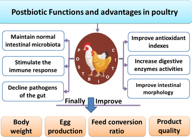 Use of Postbiotic as Growth Promoter in Poultry Industry: A Review of Current Knowledge and Future Prospects.