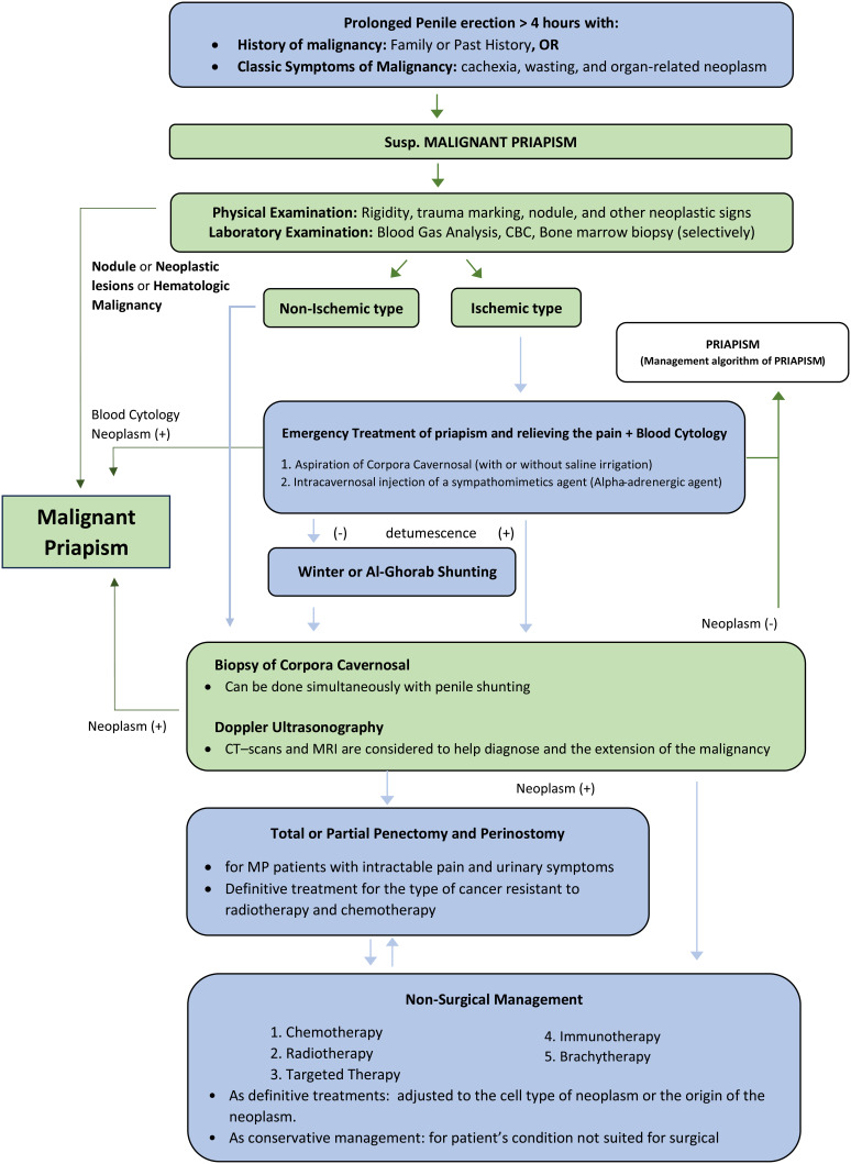 The Current Challenges in Diagnosing and Treating Malignant Priapism: A Comprehensive Review.