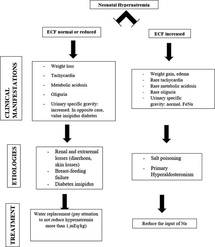 Severe Hypernatremia as Presentation of Netherton Syndrome.